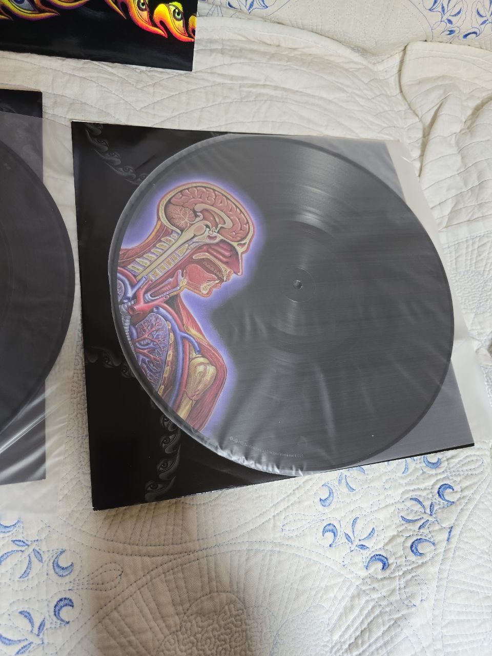 Tool Lateralus picture disk