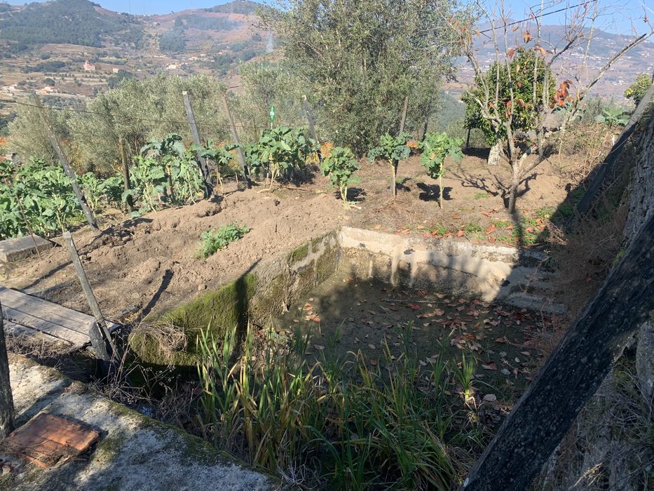 Terreno com habitacao