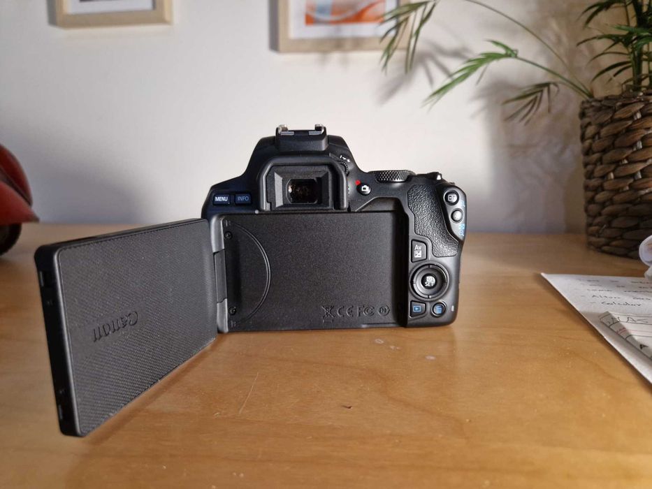 Canon EOS 250D + Canon EF-S 18-55mm f/4-5.6 IS STM