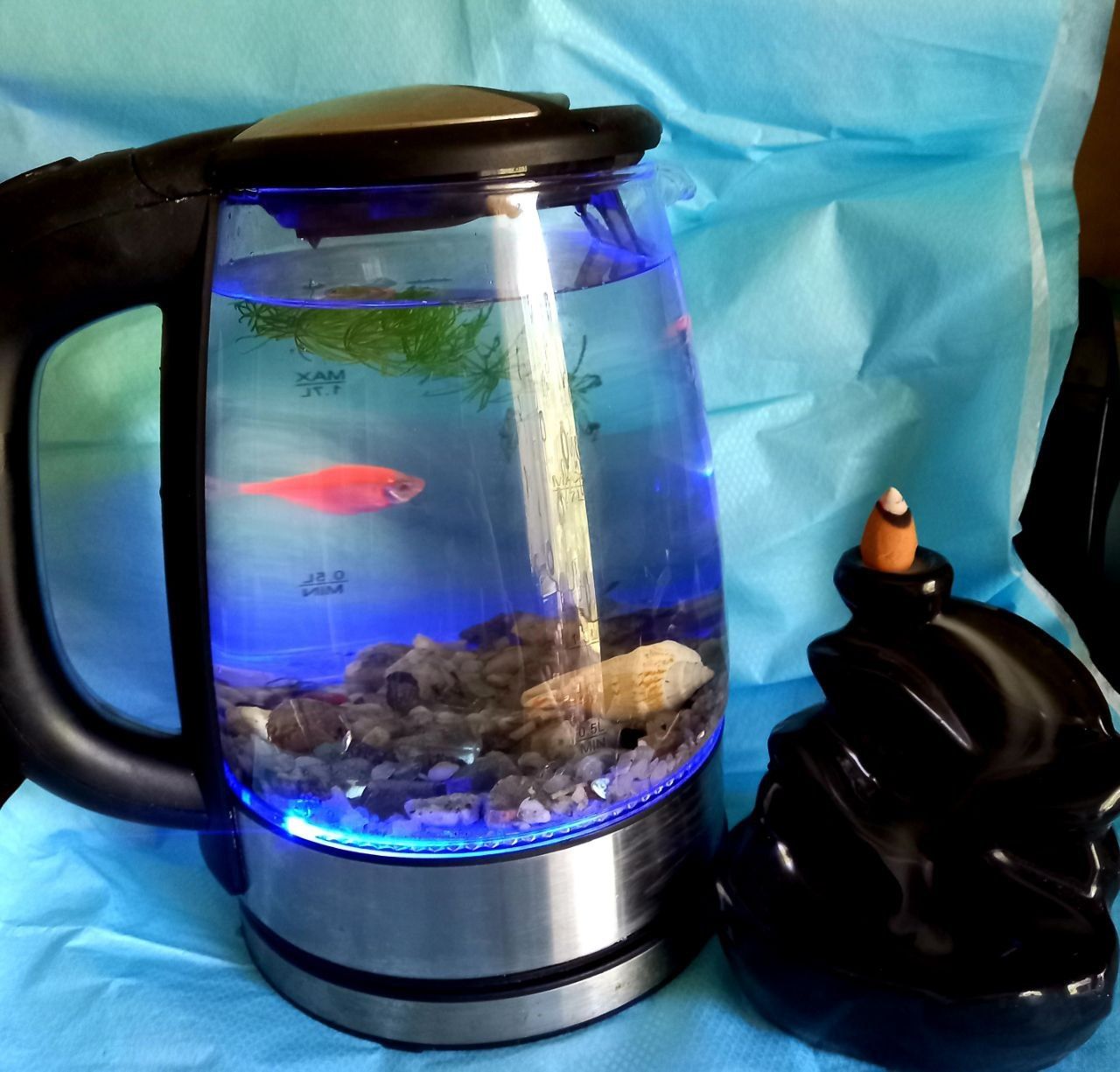 Акваріум чайник з рибкою