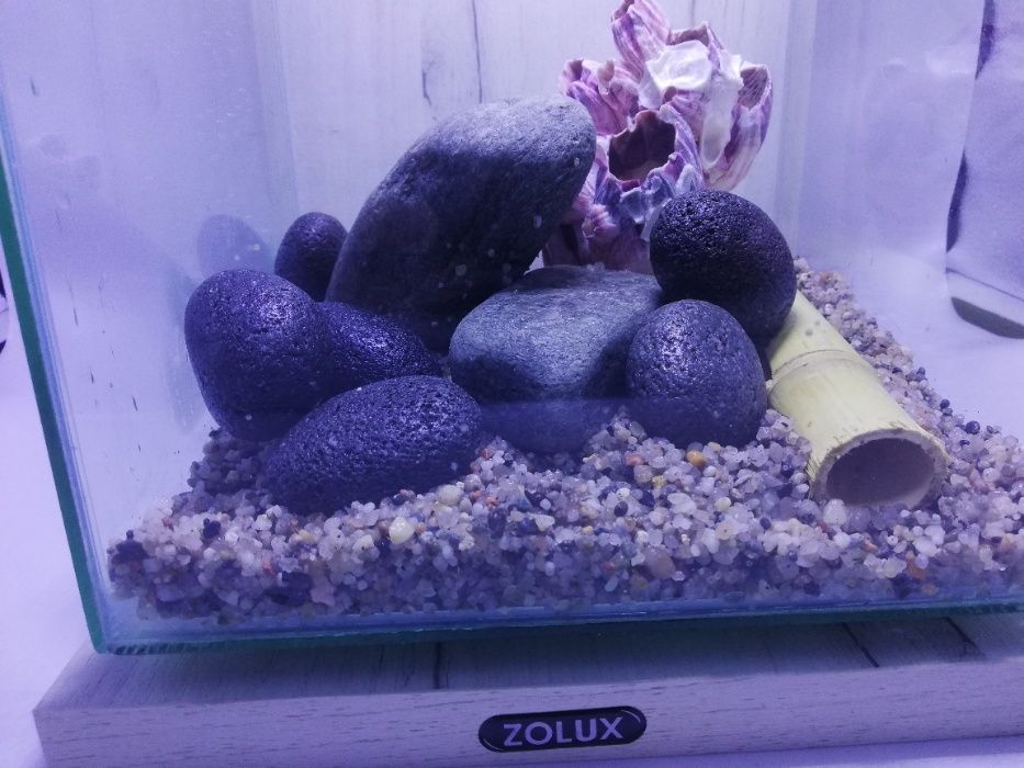 Żwir, żwirek rzeczny bursztynowy 1,4 – 3,00 mm, do akwarium