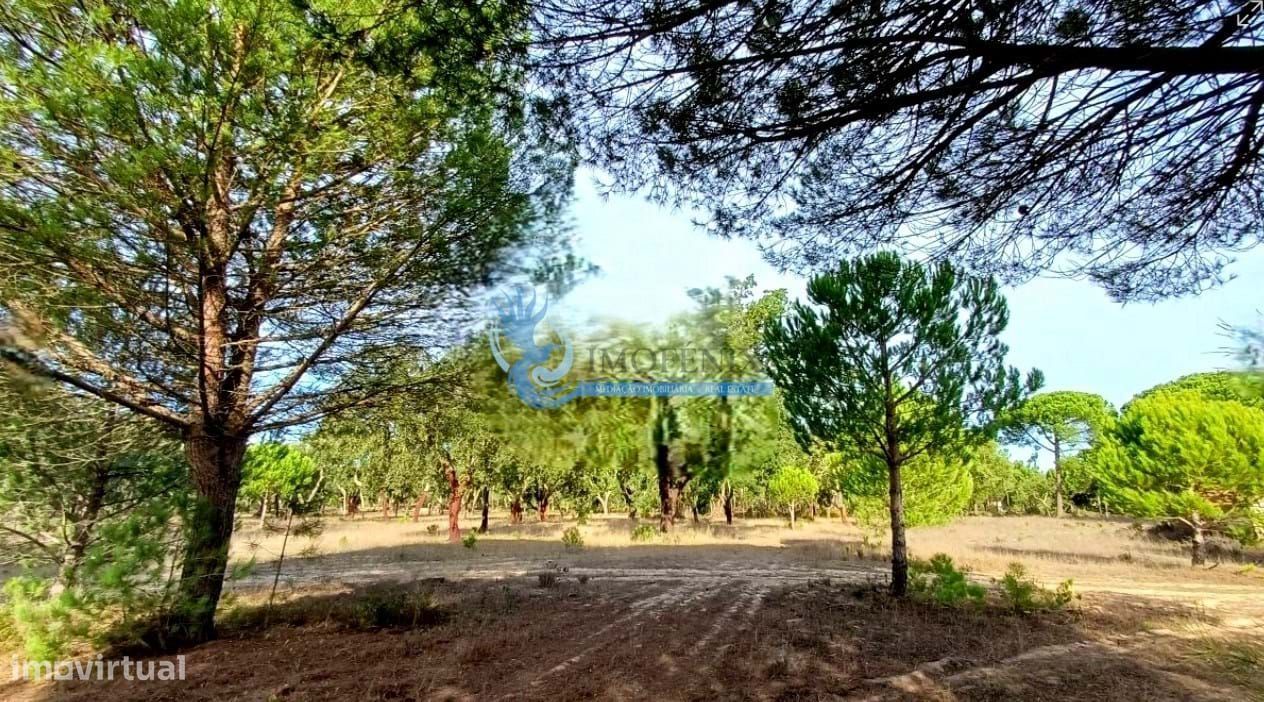 Herdade com montado de sobro de excelência localizada em Grândola