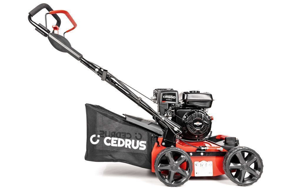 Wertykulator CEDRUS WR01-B Briggs&Stratton 5,5KM + 2 wałki