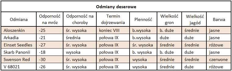 Sadzonki winorośli - przerobowe i deserowe, ze szkółki - z paszportem