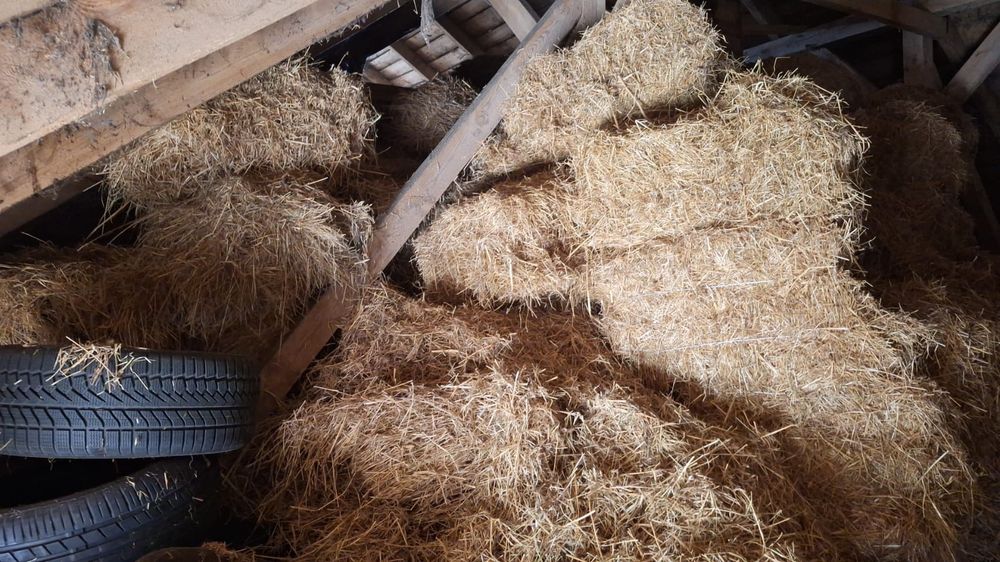 Oddam siano i słomę tylko całość