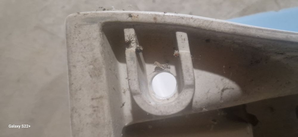 Bidé parede novo (Madalena)