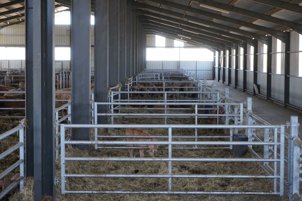 AGRITUBEL panel bramka do obory dla krów bydła