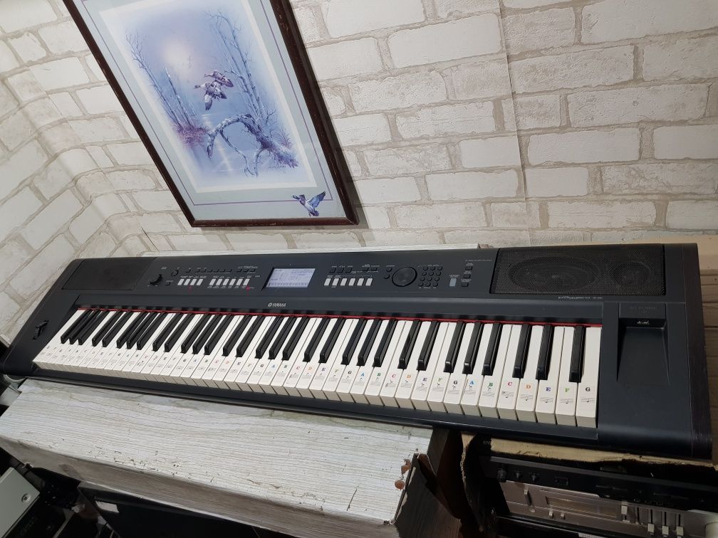 Цифрове піаніно/синтезатор Yamaha NP-V80, Casio WK-1800, на 76 клавіш