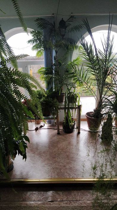 Продам дом с.Светлое, СТ"Свитанок", новые дачи,