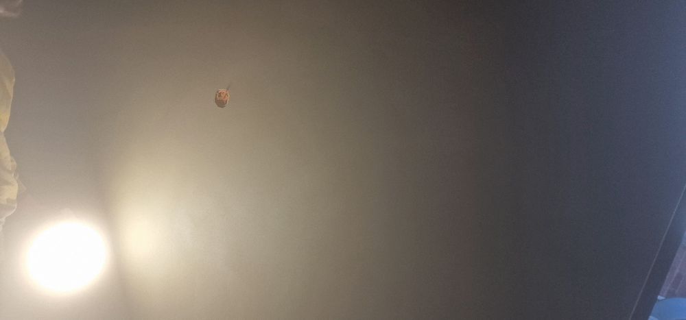 Tynki maszynowe POD MALOWANIE cement-wapno z włóknem szklanym i gipsow