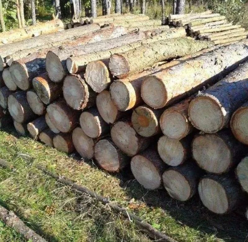 Drewno do opału kominkowe
