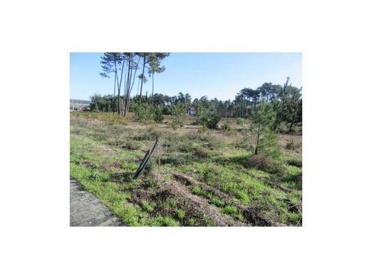 Lotes urbanos em Vieira de Leiria — Vieira de Leiria, Leiria
