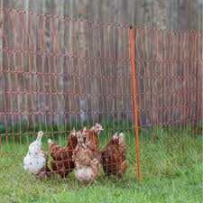 Siatka ogrodzeniowa elektryczna dla drobiu owiec , 50m-108 cm 2 szpice