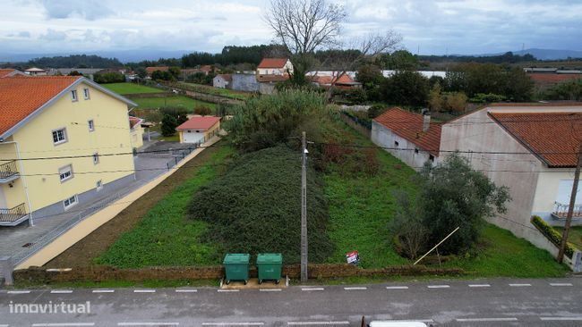 Terreno rústico, para venda, Anadia - S. Lourenço do Bairro
