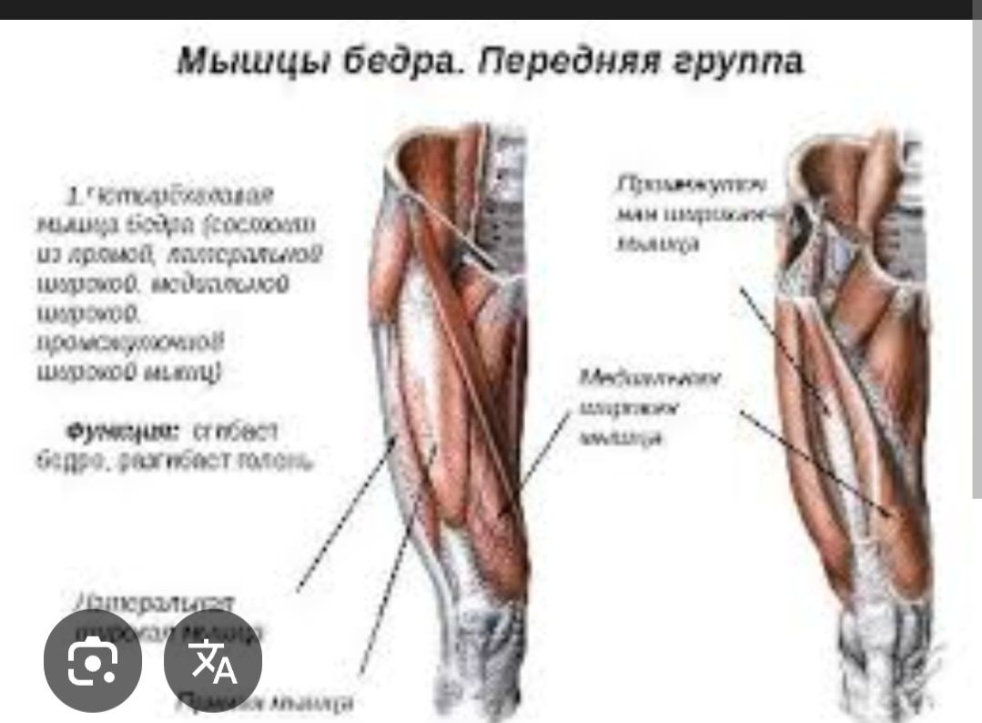 Массаж днепр центральный