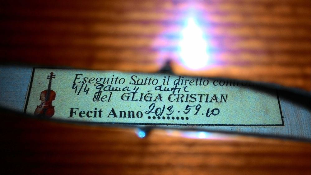 Violino Gliga Gama II 4/4 Novo