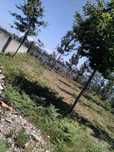 Terreno para Construção Cumeada - Valongo do Vouga
