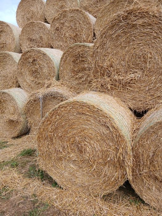 Sprzedam słomę słoma