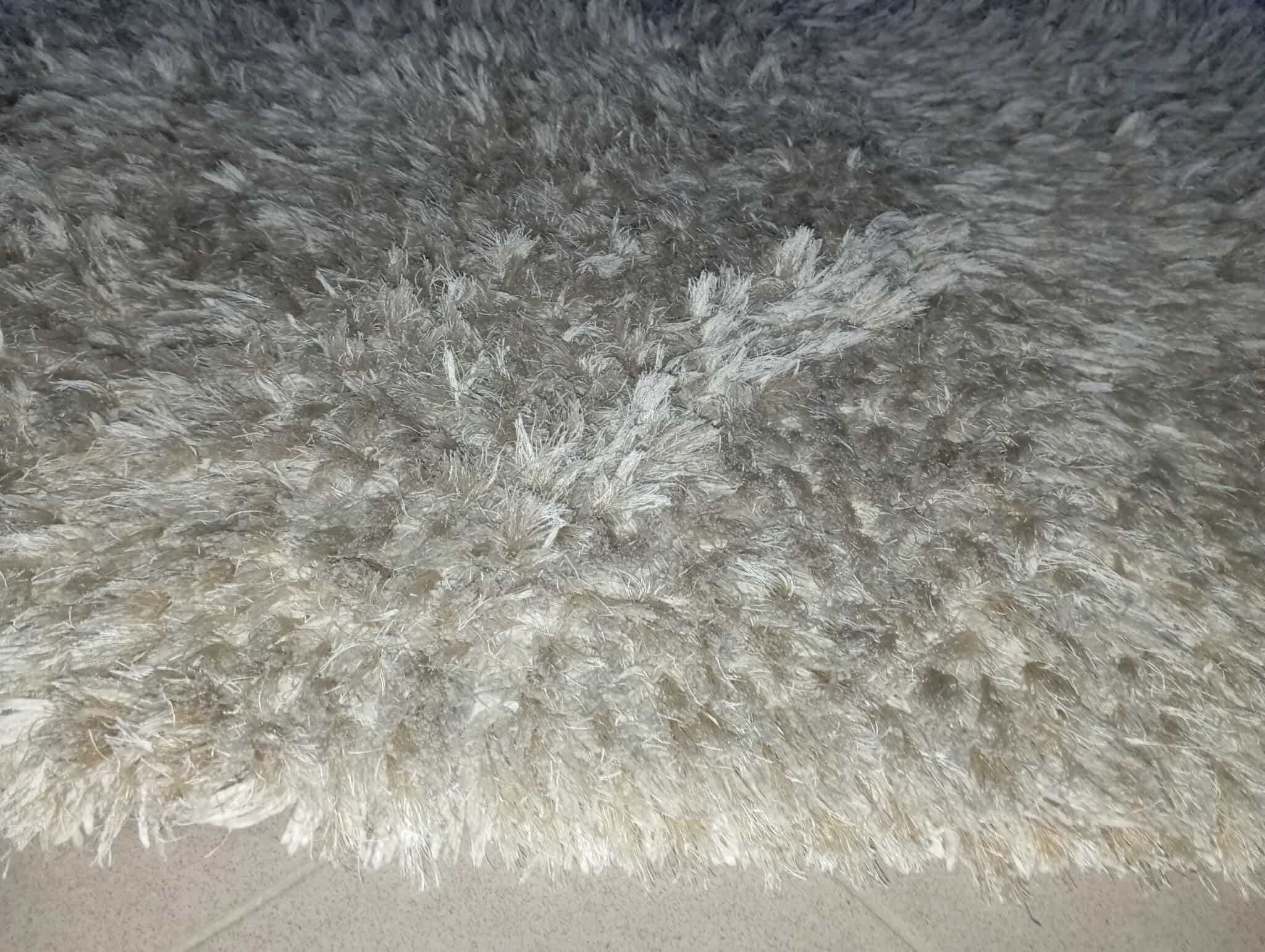 Dywan długi włos
