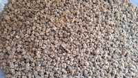 семена кормовой свеклы центауэр