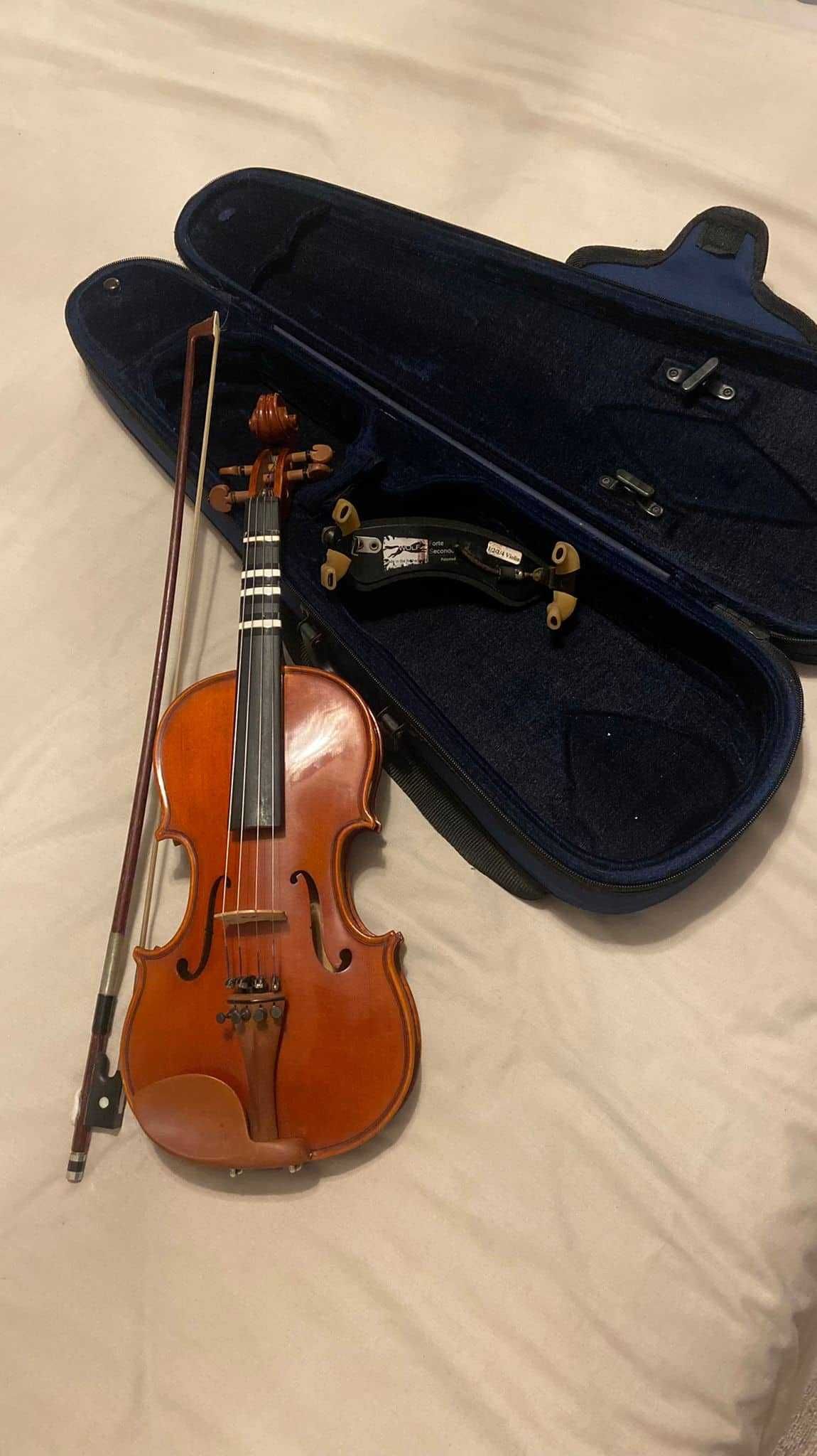 Violinos para venda