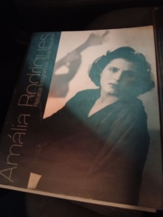 Livros Amália Leonardo da Vinci