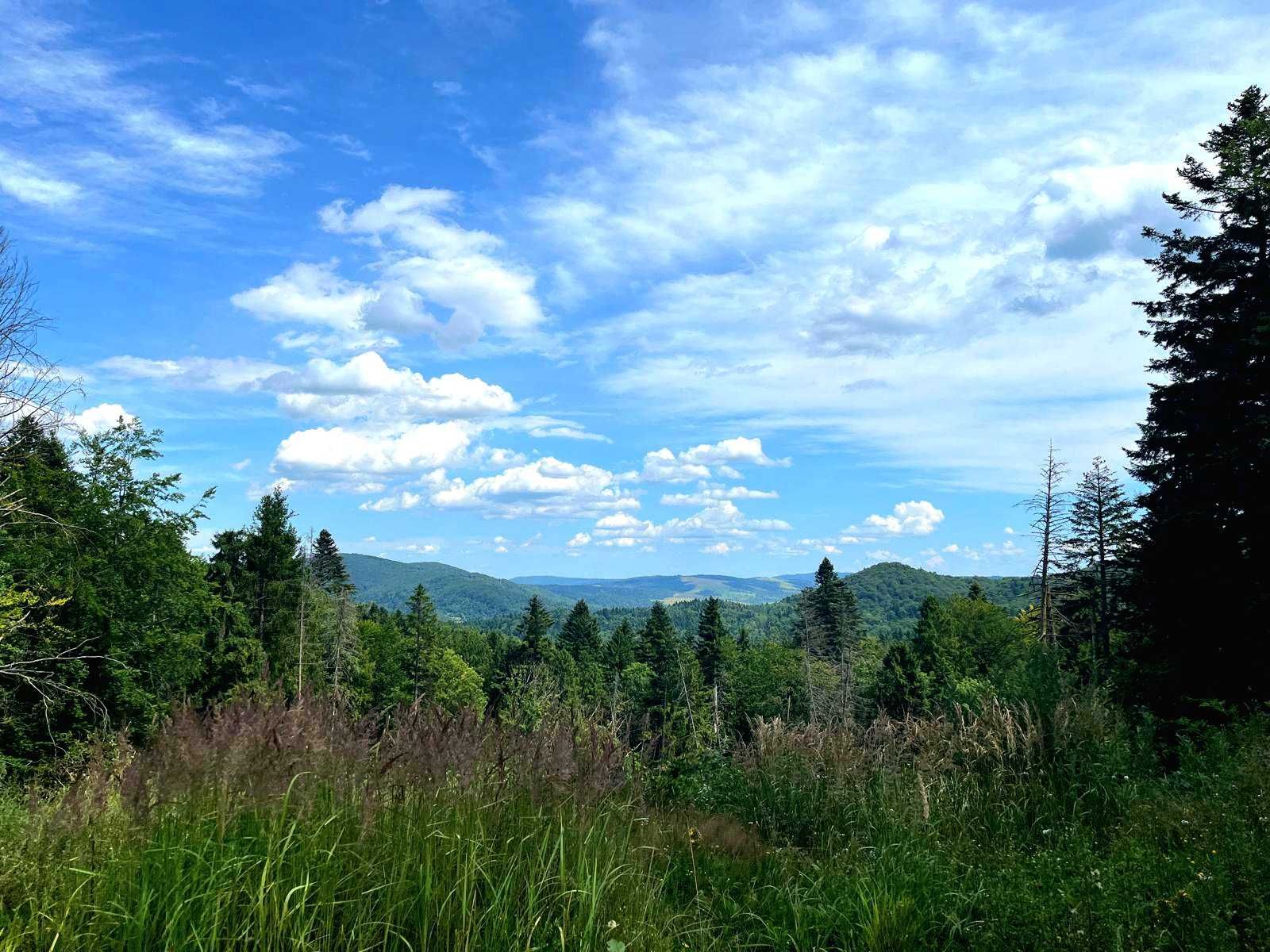 Noclegi Beskid Niski Domki Lawendowa Dolinka Domek na wyłączność