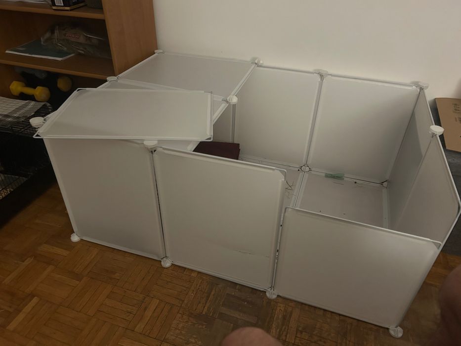 Sprzedam króliki