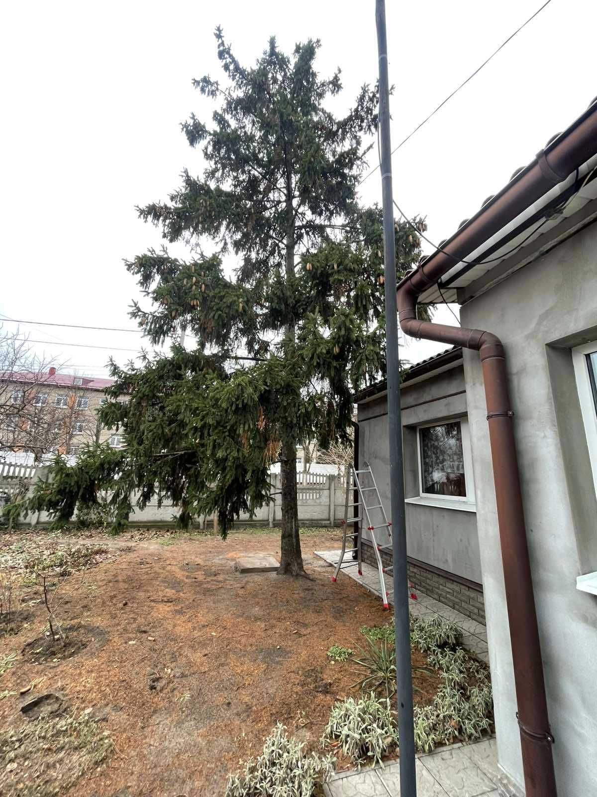 Спил деревьев Недорого с вывозом