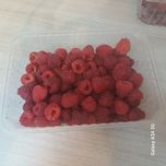 Maliny w 100% bez opryskow