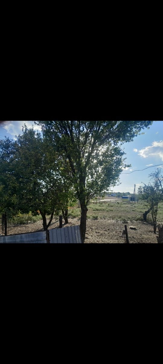Продам дом в Тритузном по центральной улице.