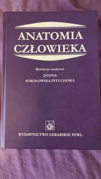 Anatomia człowieka Sokołowska-Pituchowa, wydanie VIII