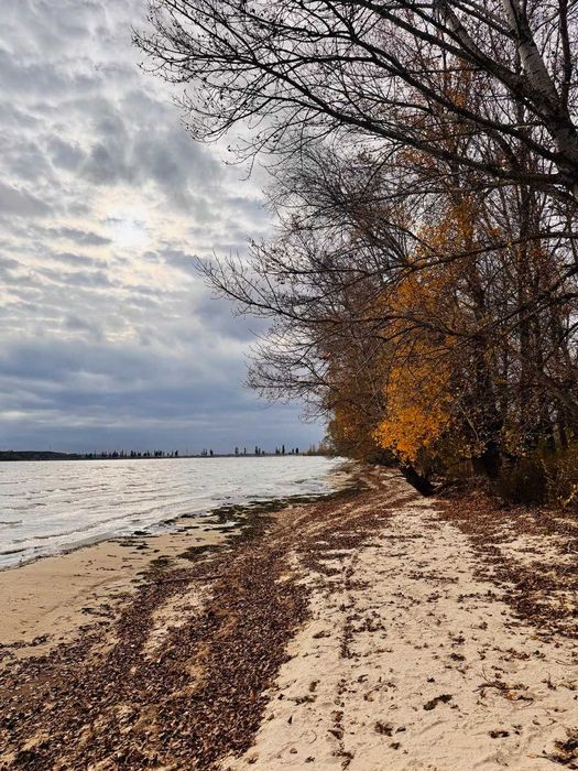 Продаж будинку на березі Київського моря, Козаровичи без %