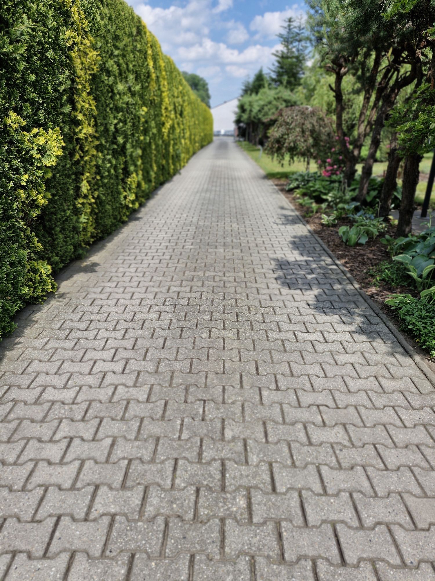 Usługi sprzątające, pielęgnacja ogrodów