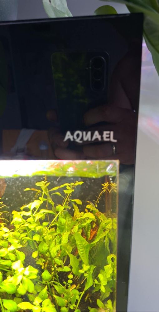 Sprzedam akwarium 240l