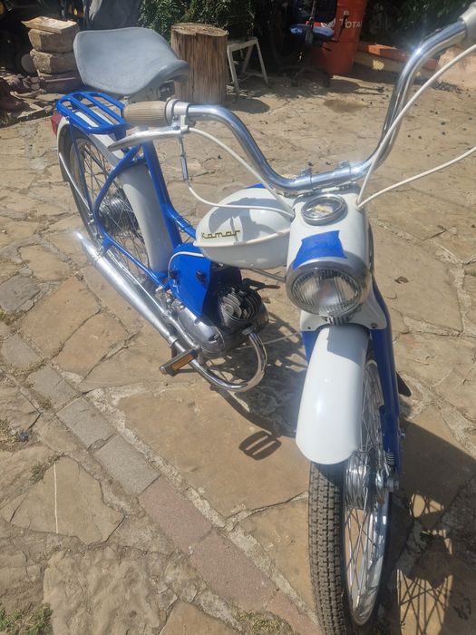 Komar sztywniak 2320