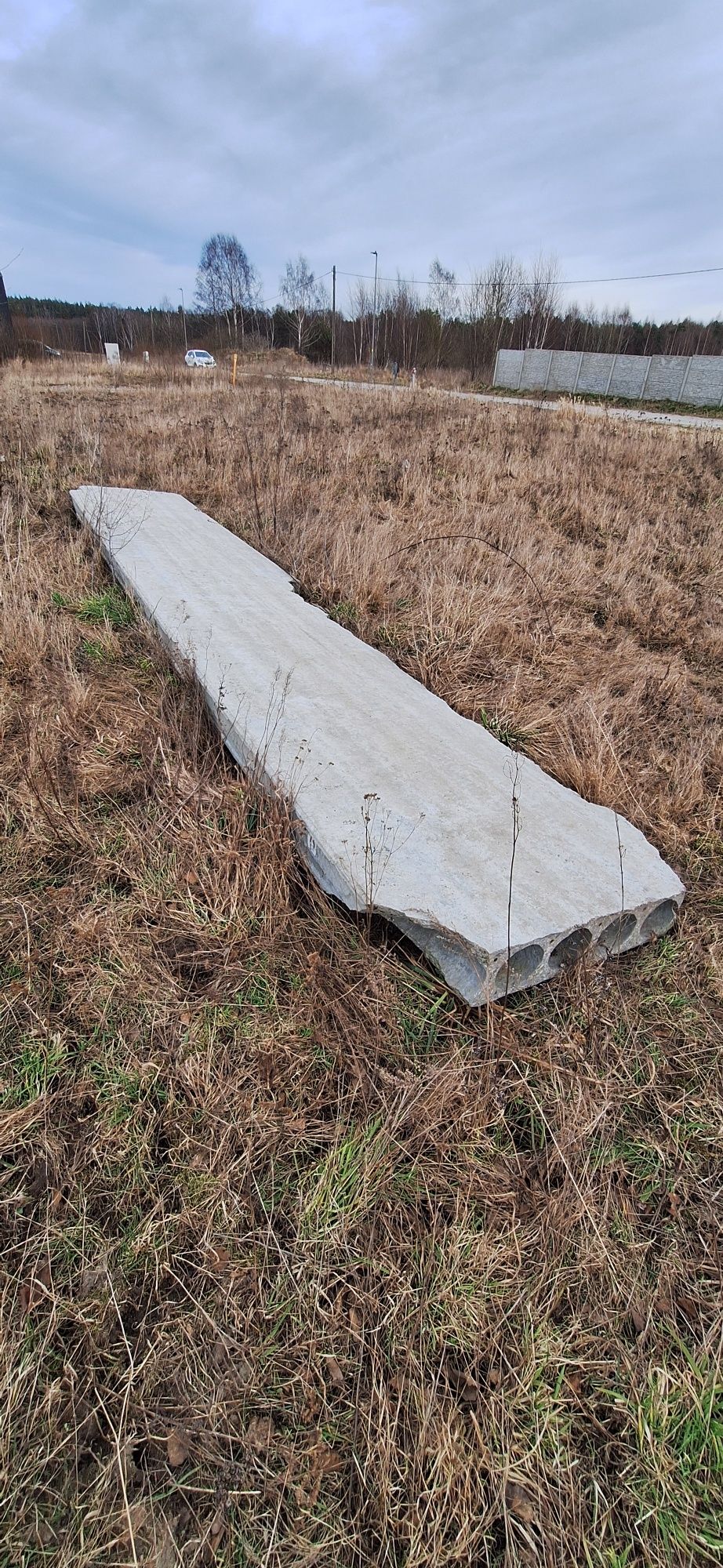 Oddam płytę betonową zbrojoną np. na utwardzenie drogi, fundament itd.