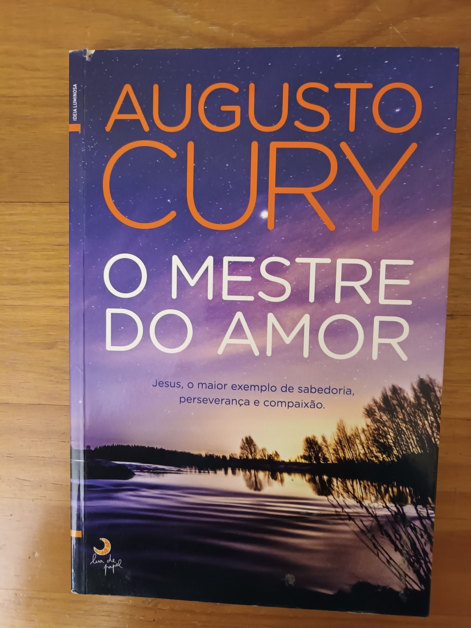 O Mestre do Amor - Augusto Cury