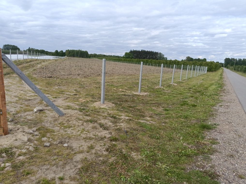 Oogrodzenia tymczasowe  słupek drewniany betonowy