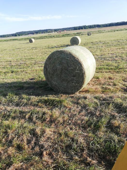 Siano Trawy Szlachetne 100zł . I słoma. Możliwość transportu