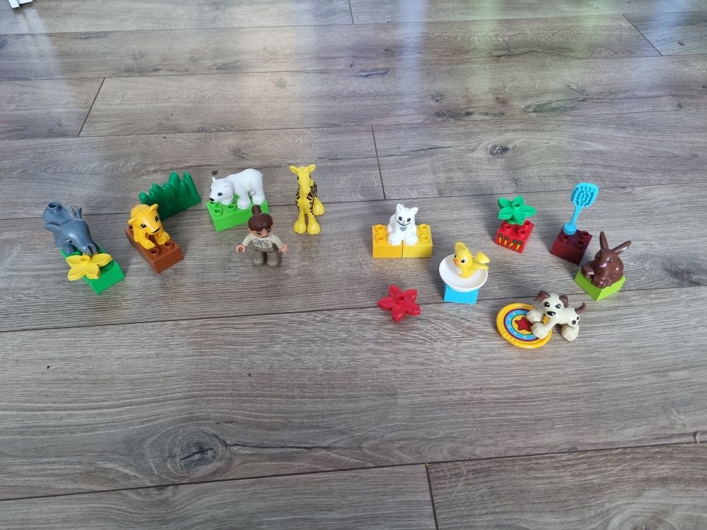 Lego Duplo, zwierzęta domowe + zoo