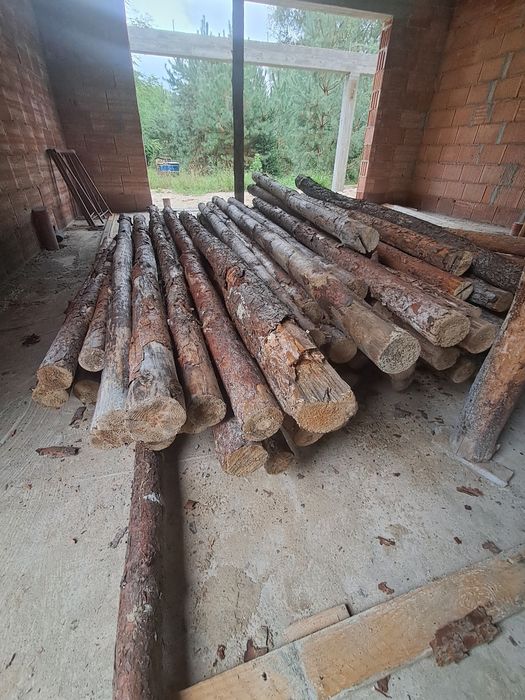 Stemple Budowlane 2.5 m