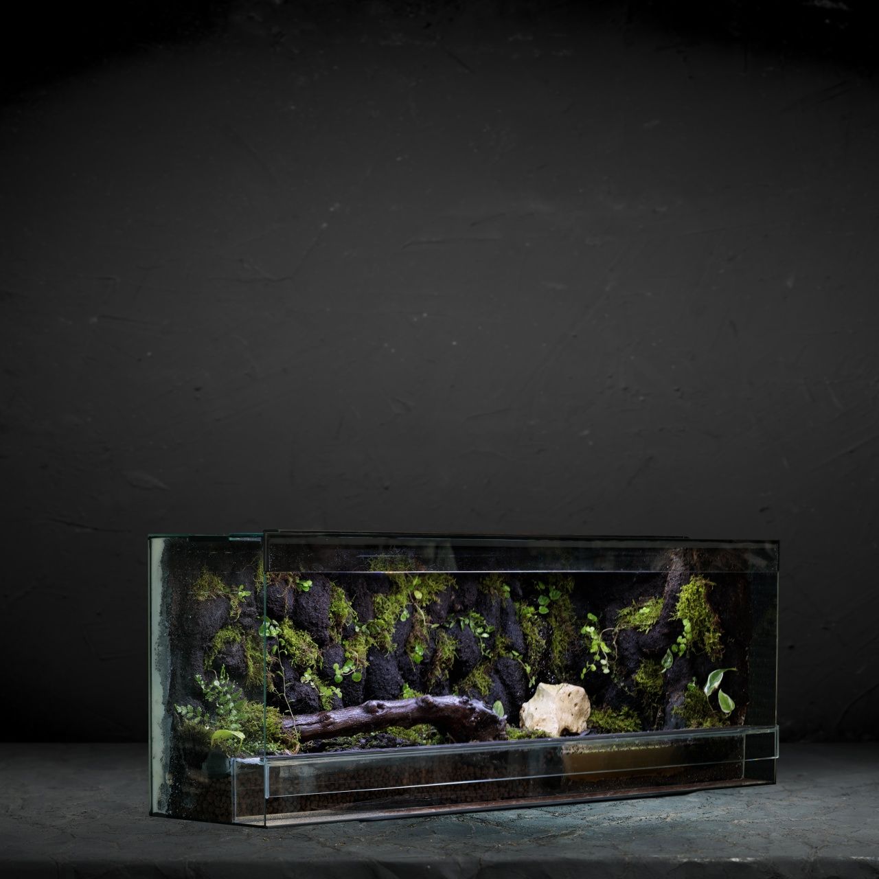 Terrarium tropikalne 40x40x60 gekon