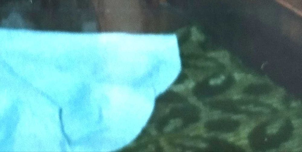 Килим домотканий  та доріжка з західної України