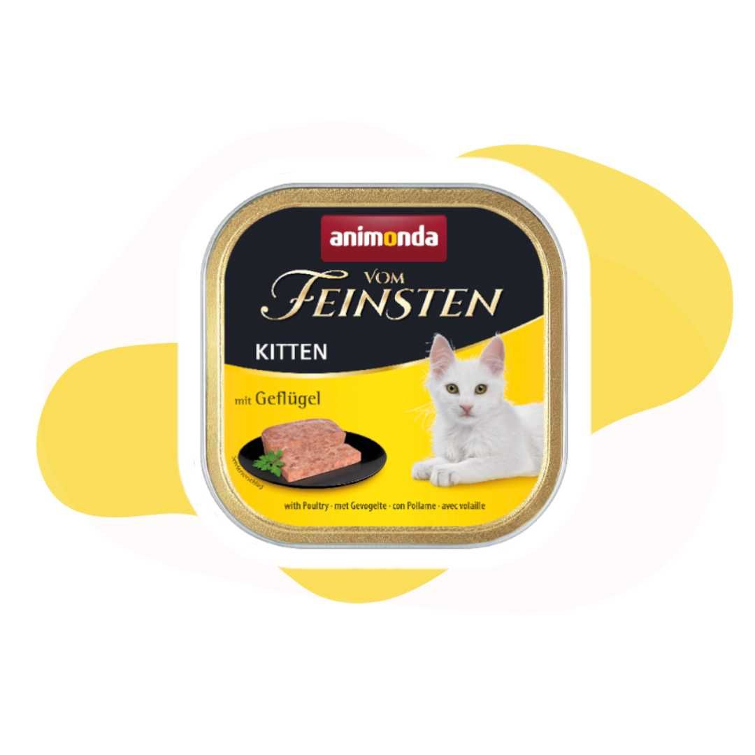 Animonda vom Feinsten Kitten Kurczak 10x100g kocięta