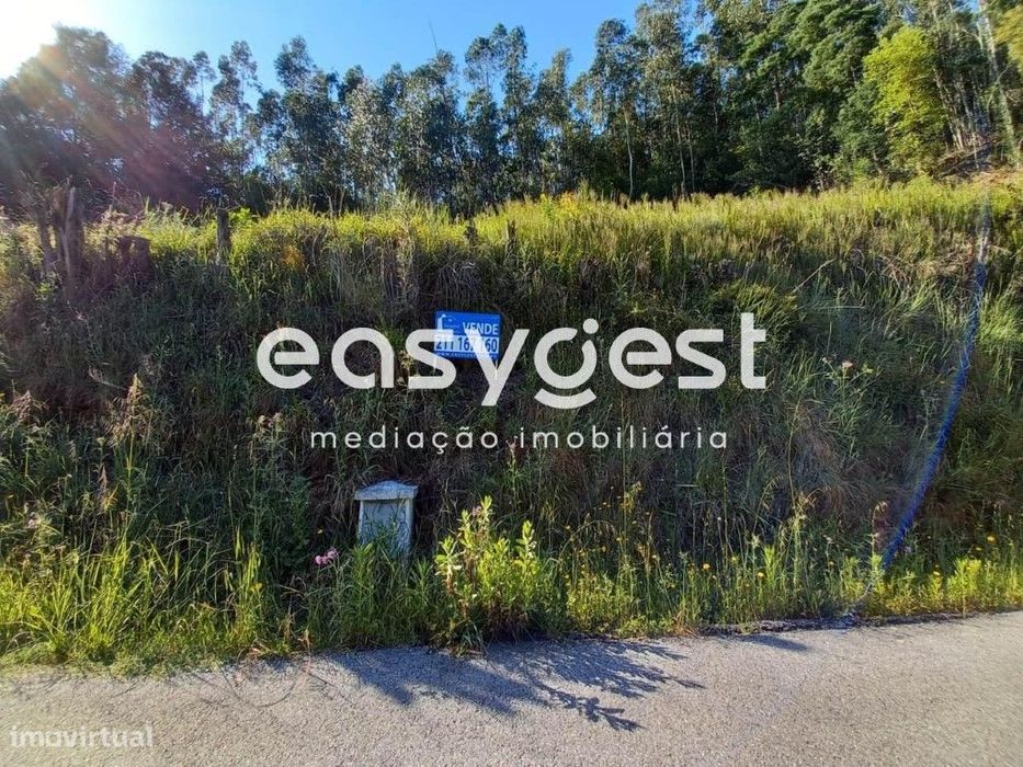 Terreno Rústico, Santo António dos Olivais, Vale de Linhares