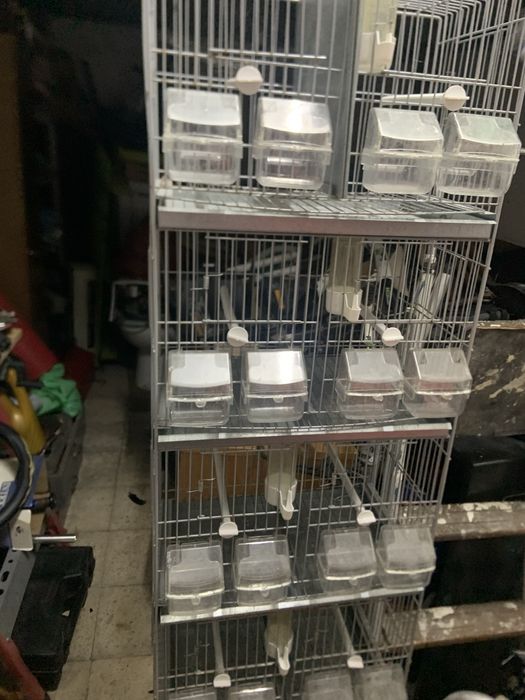 Viveiro para criacao com oito divisorias