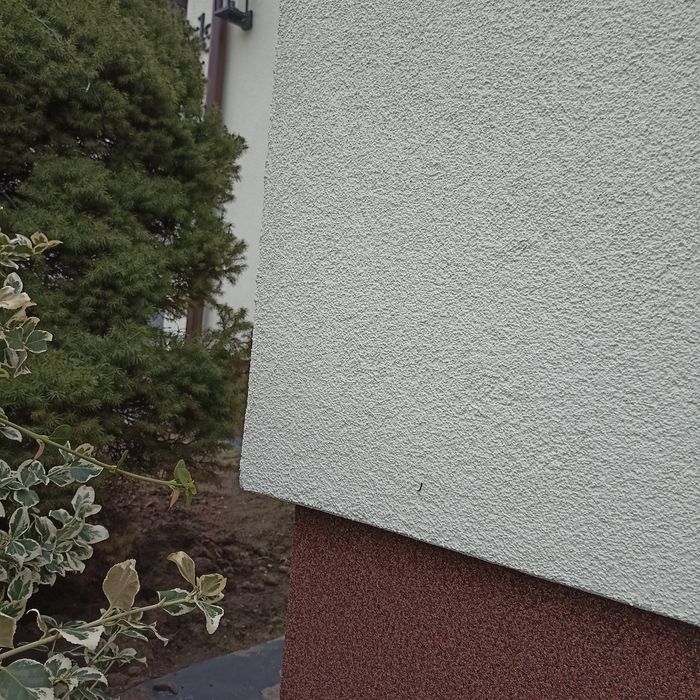 Tynk silikonowy Caparol plus grunt Caparol 150zl3/4wiadra 25l