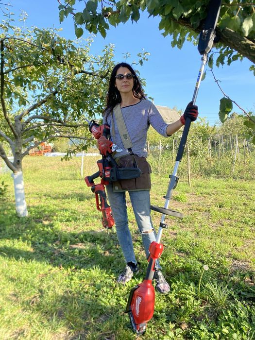 Послуги садівника. Лікування, Обрізка, формування дерев.