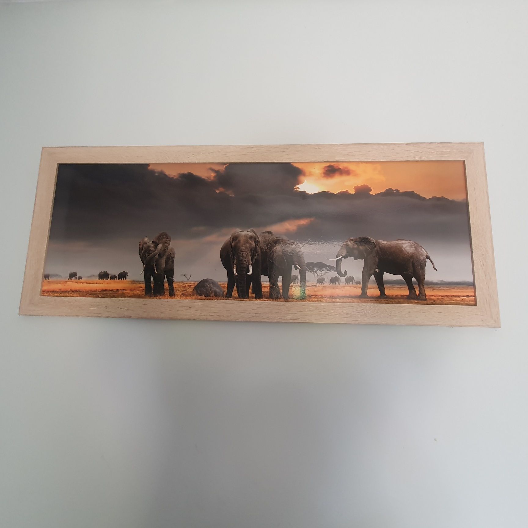 Obraz ze słoniami